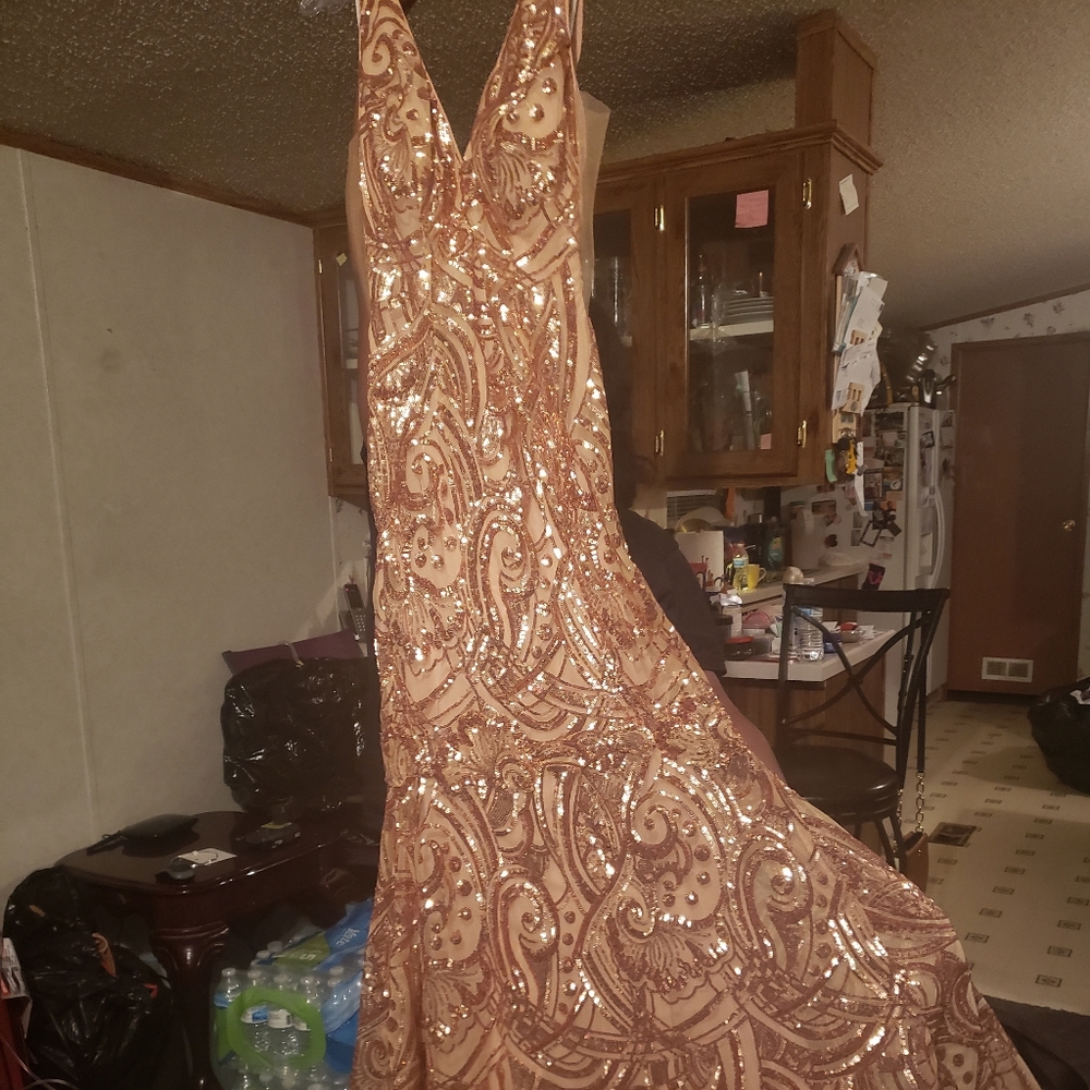 Homecoming/prom dress